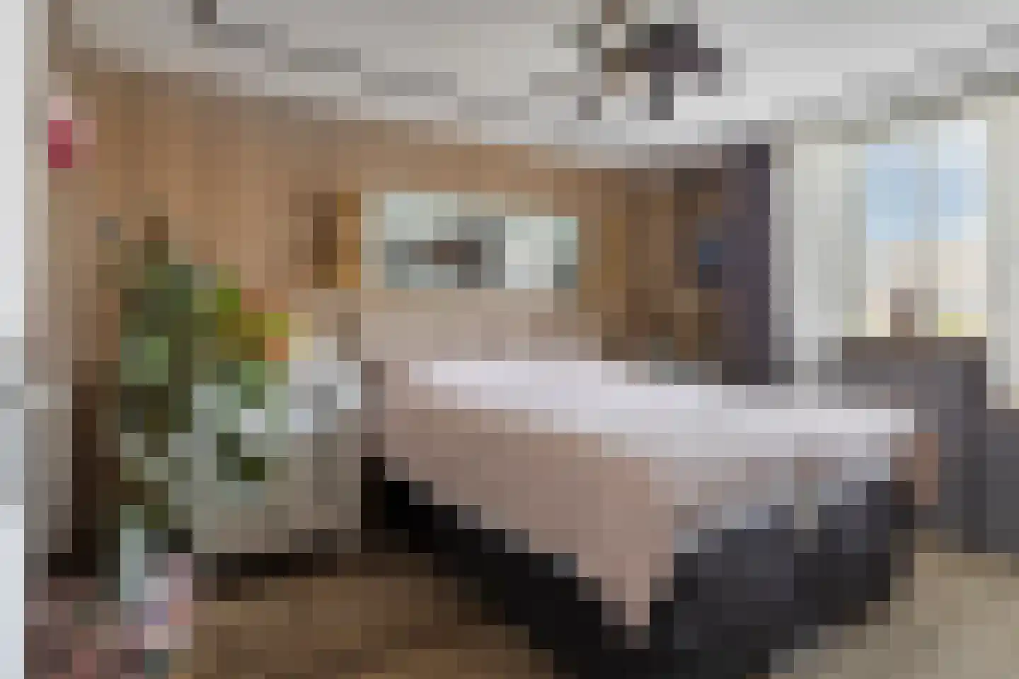 Geep 37 Hellevoetsluis thumbnail 27
