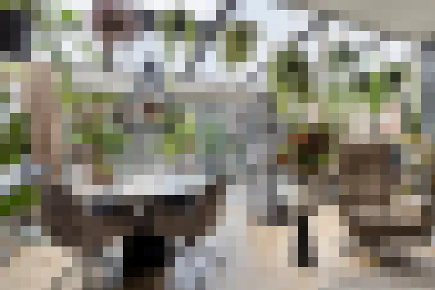 Geep 37 Hellevoetsluis thumbnail 4