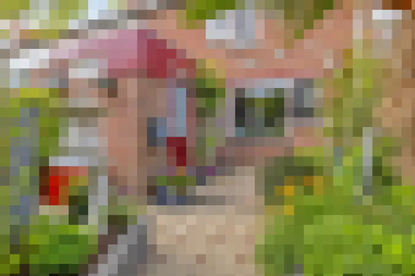 Geep 37 Hellevoetsluis thumbnail 5