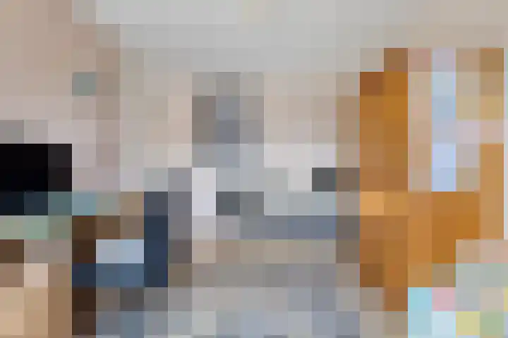 Geep 5 Hellevoetsluis thumbnail 22