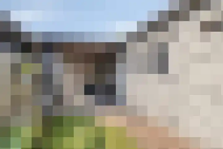 Geep 5 Hellevoetsluis thumbnail 32