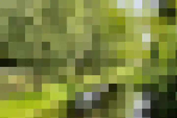 Geep 5 Hellevoetsluis thumbnail 36