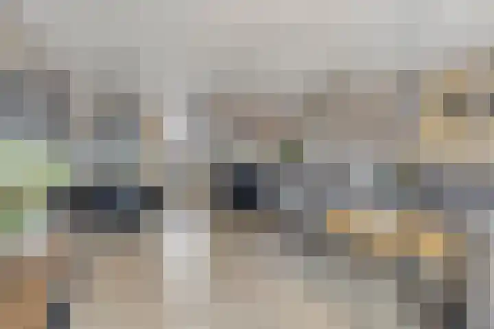 Geep 5 Hellevoetsluis thumbnail 9