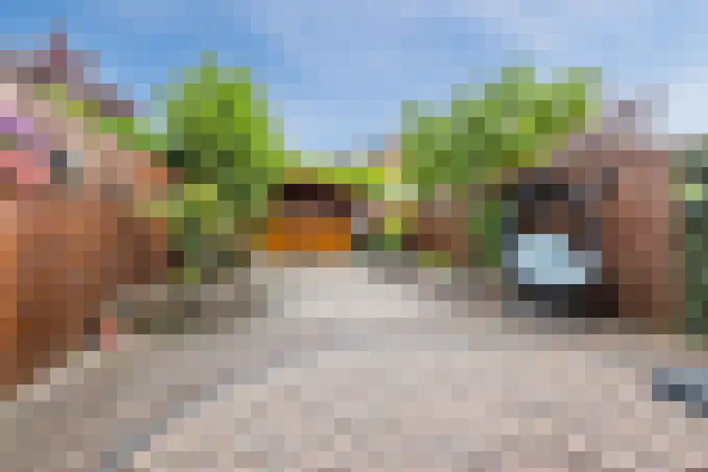 Geep 7 Hellevoetsluis thumbnail 30