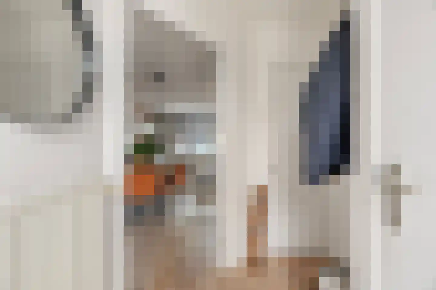 Geepstraat 21 Hoogvliet Rotterdam thumbnail 6