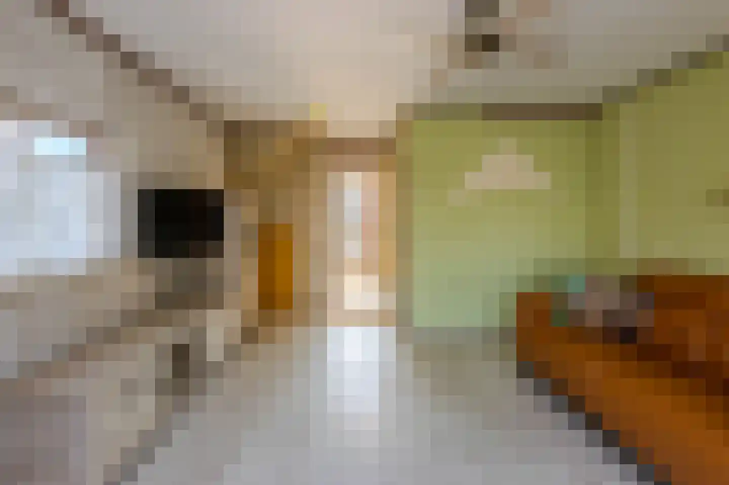Geepstraat 37 Hoogvliet Rotterdam thumbnail 25