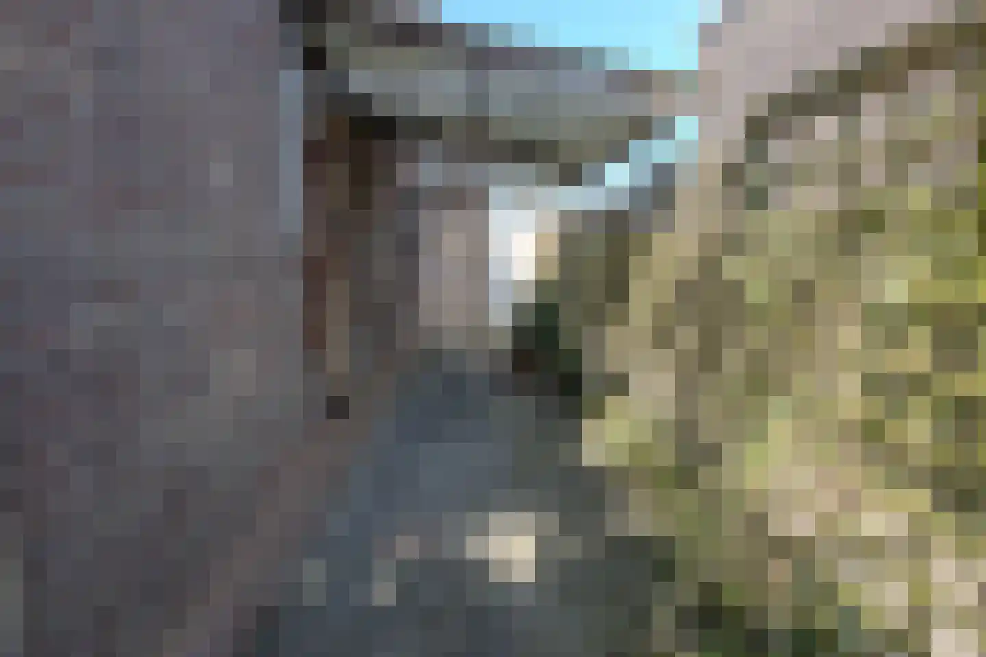 Geepstraat 37 Hoogvliet Rotterdam thumbnail 8