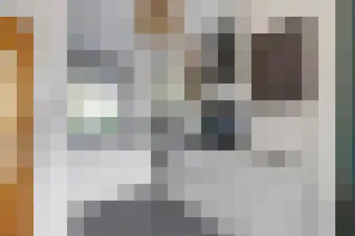 Geepstraat 66 Hoogvliet Rotterdam thumbnail 5
