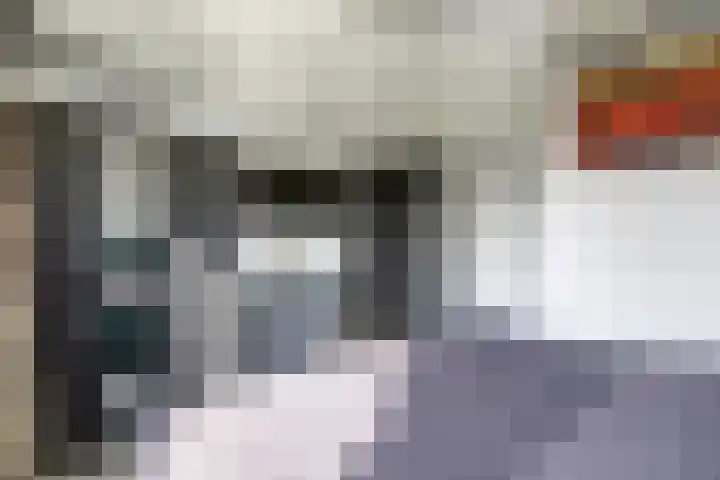 Geepstraat 66 Hoogvliet Rotterdam thumbnail 9