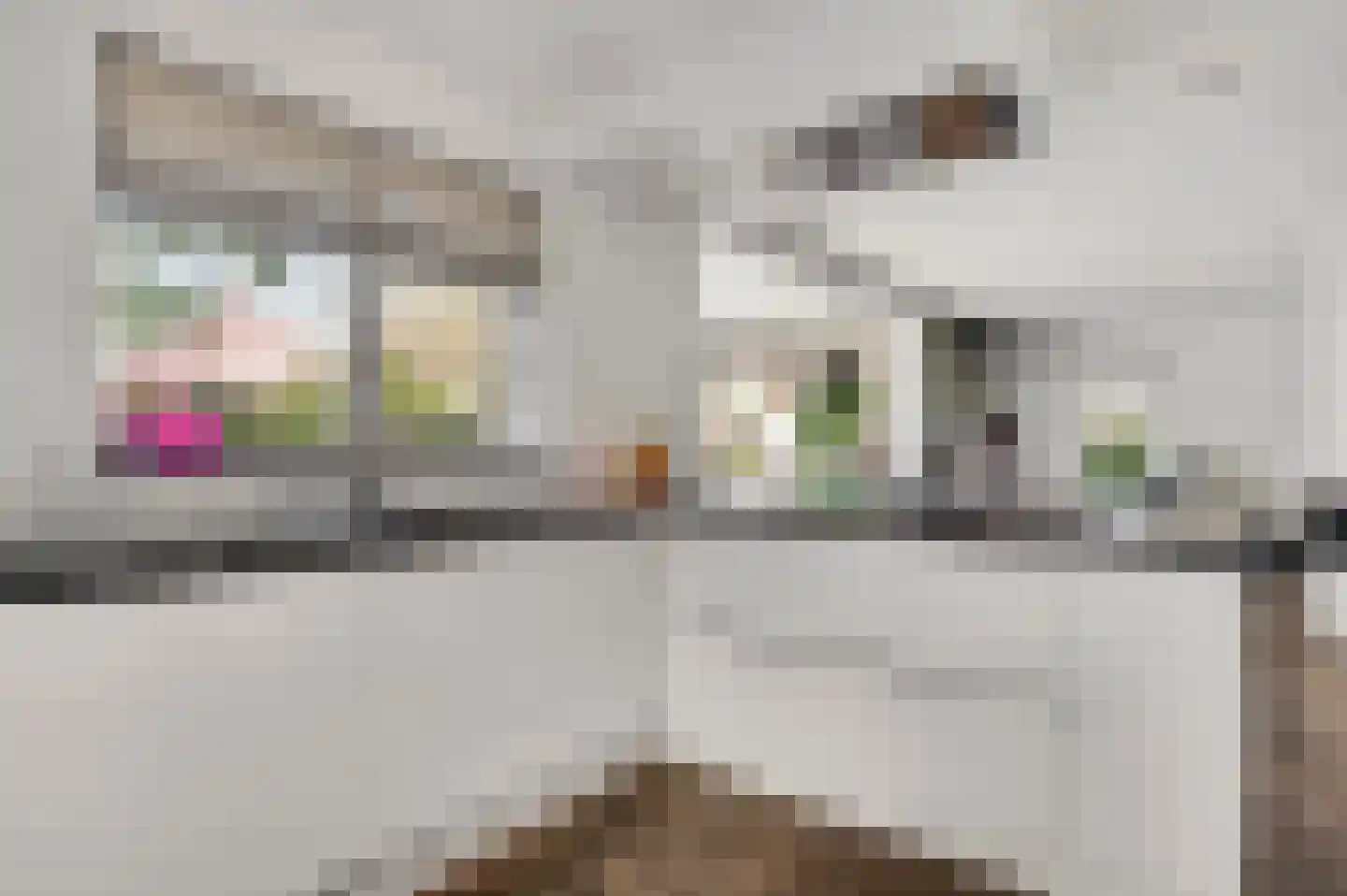 Geer 1 Nederweert thumbnail 10