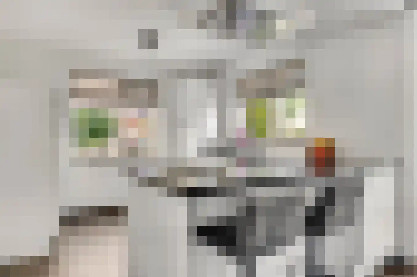 Geer 1 Nederweert thumbnail 11