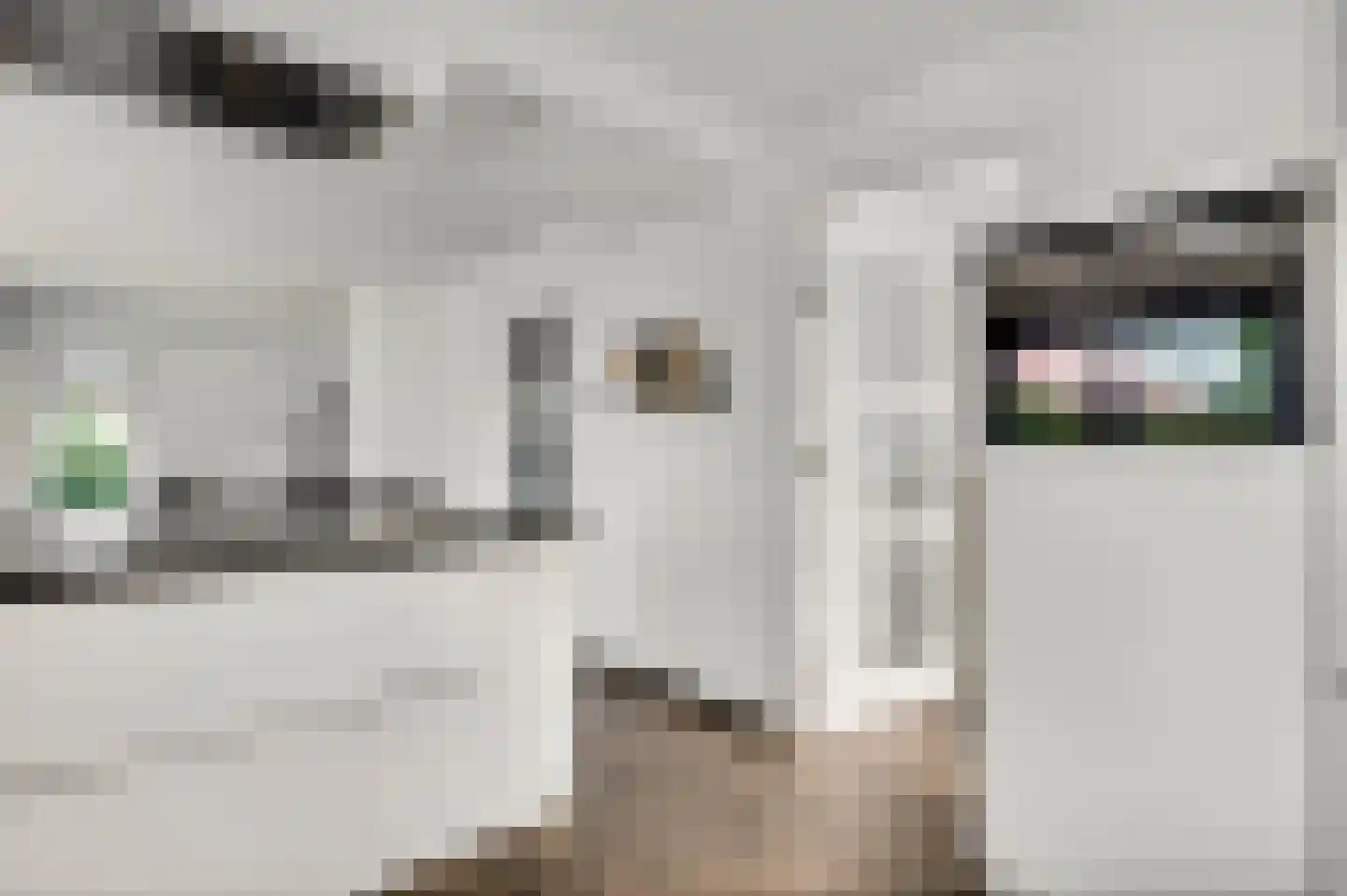 Geer 1 Nederweert thumbnail 12