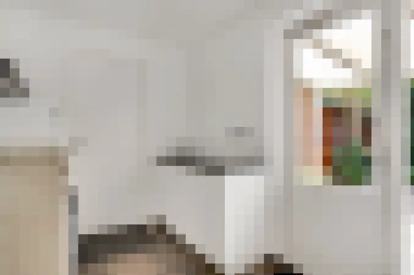 Geer 1 Nederweert thumbnail 14
