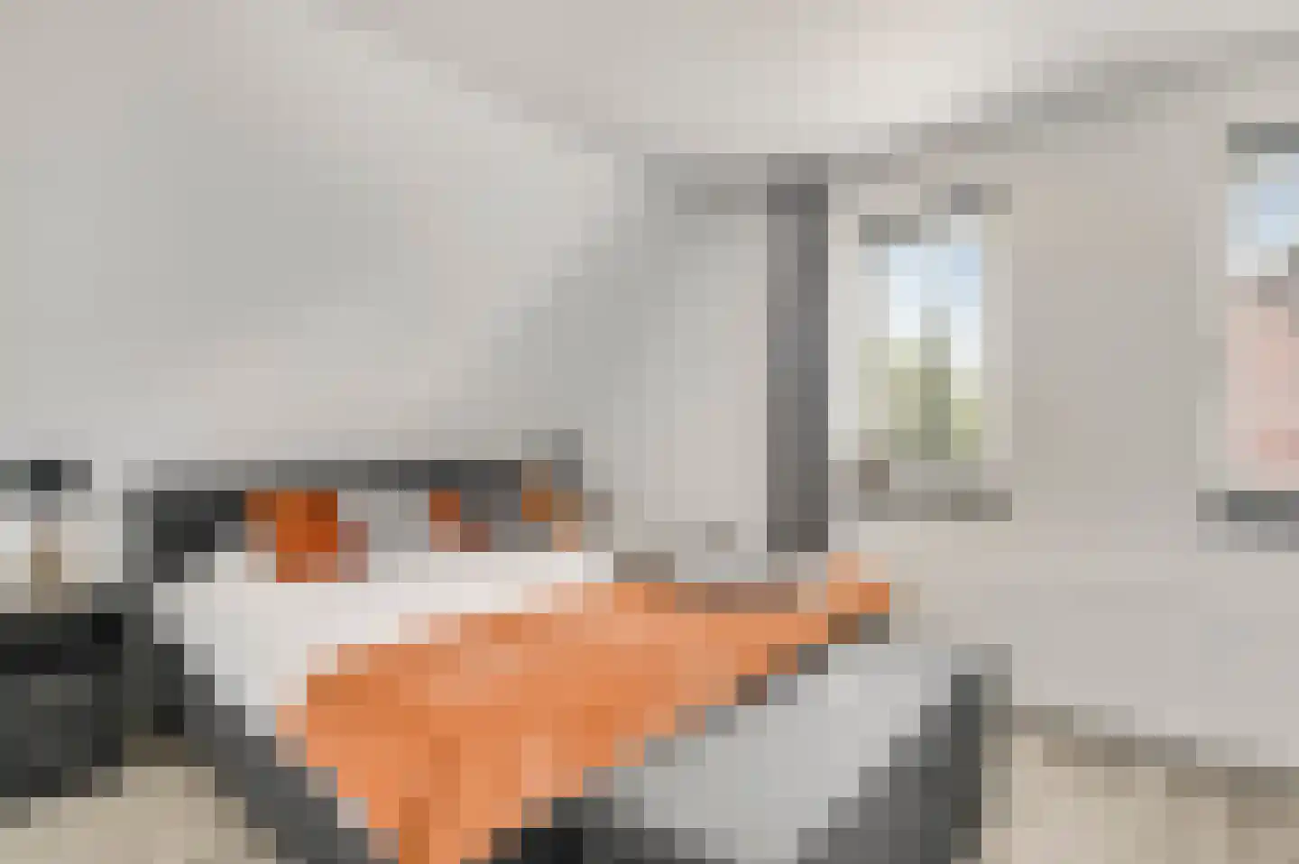 Geer 1 Nederweert thumbnail 19