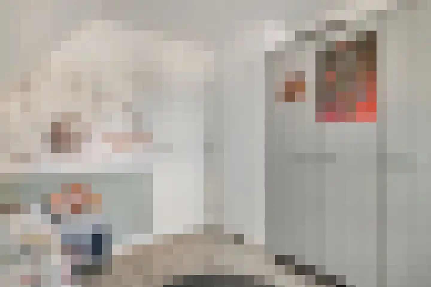 Geer 1 Nederweert thumbnail 24