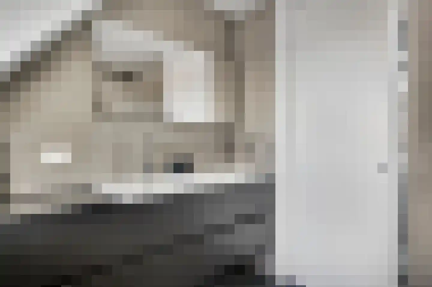 Geer 1 Nederweert thumbnail 30