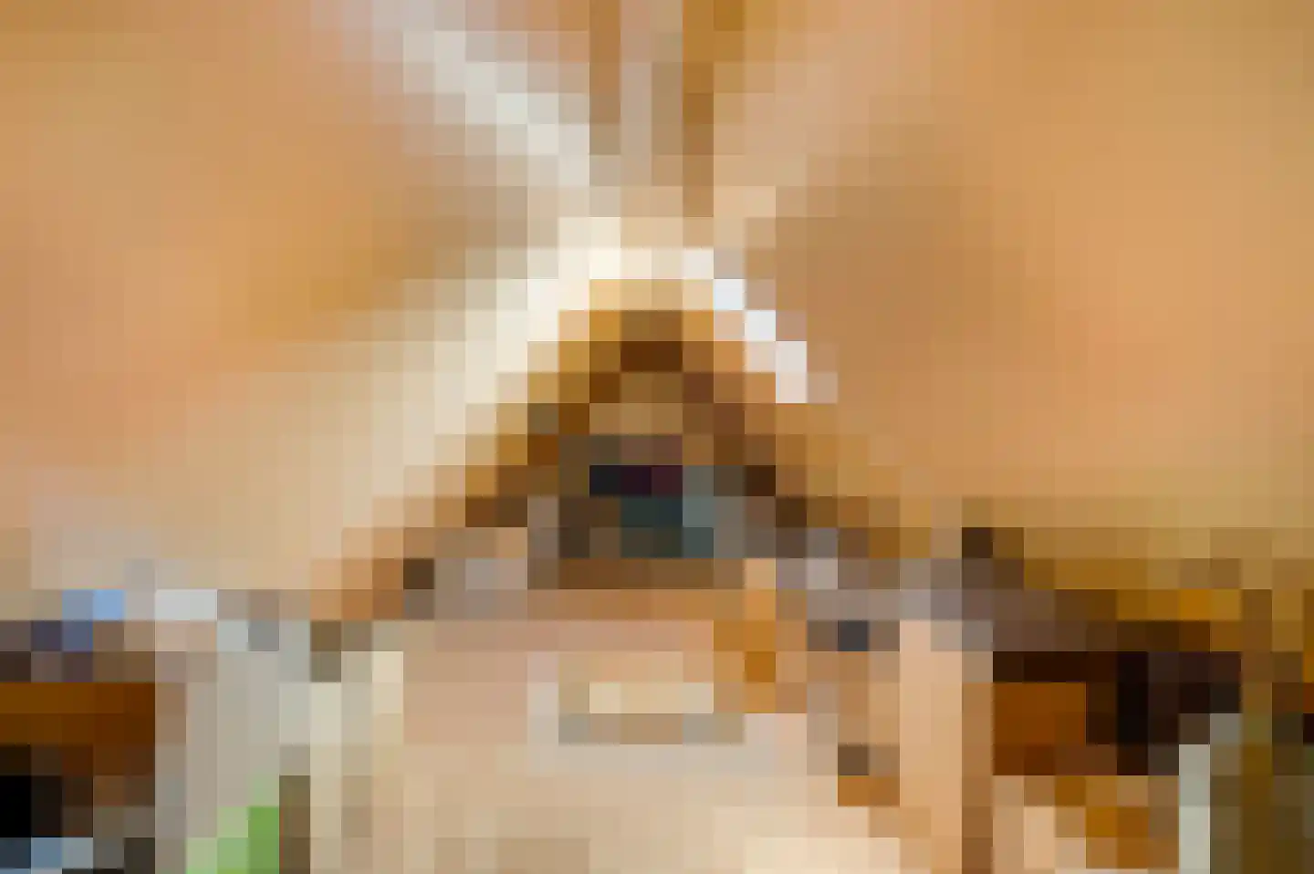 Geer 1 Nederweert thumbnail 31