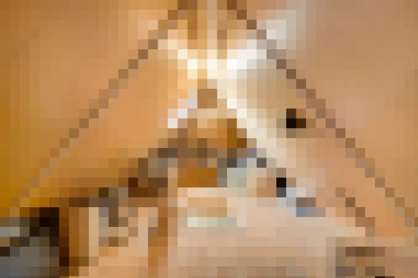 Geer 1 Nederweert thumbnail 32