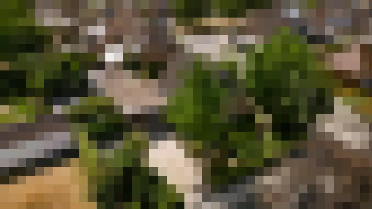 Geer 1 Nederweert thumbnail 33