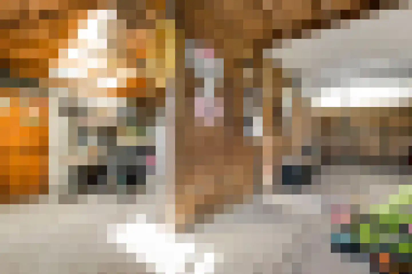 Geer 1 Nederweert thumbnail 37