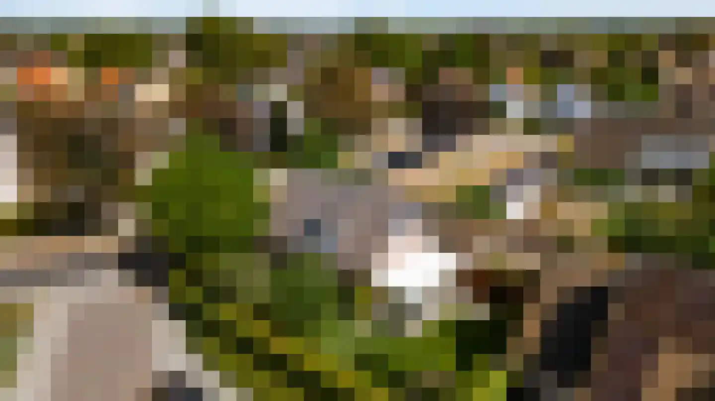 Geer 1 Nederweert thumbnail 40