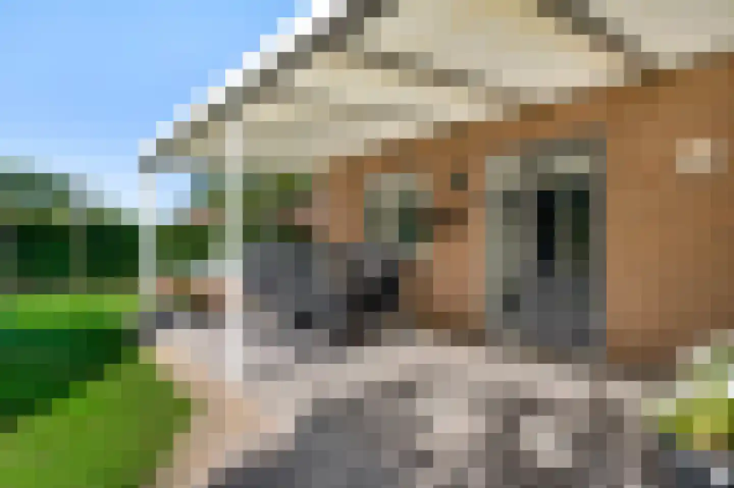 Geer 1 Nederweert thumbnail 45