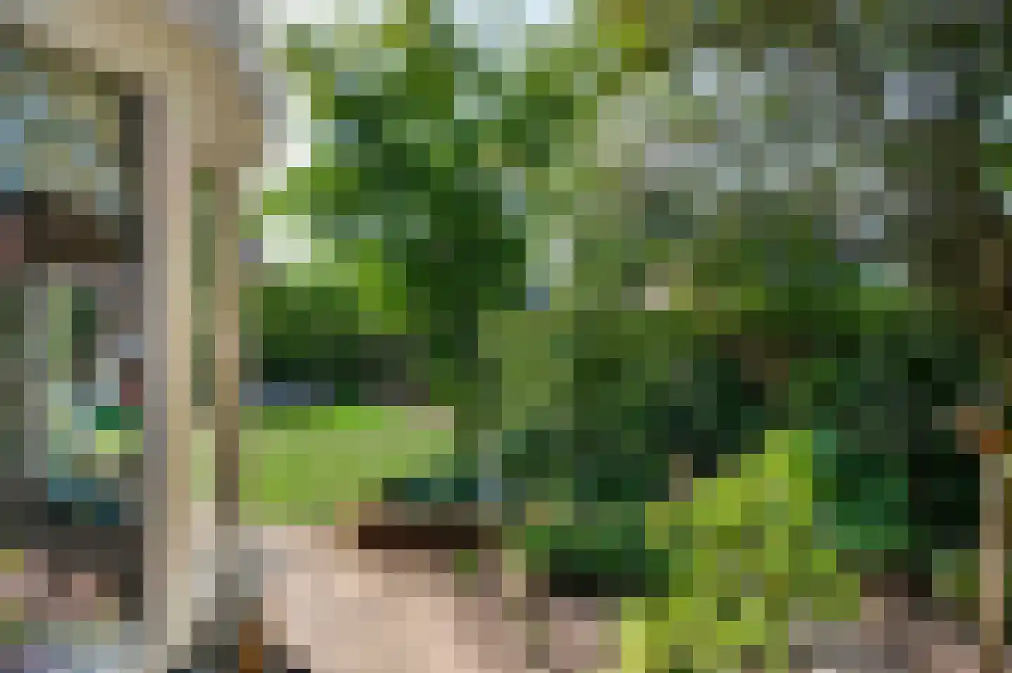 Geer 1 Nederweert thumbnail 48