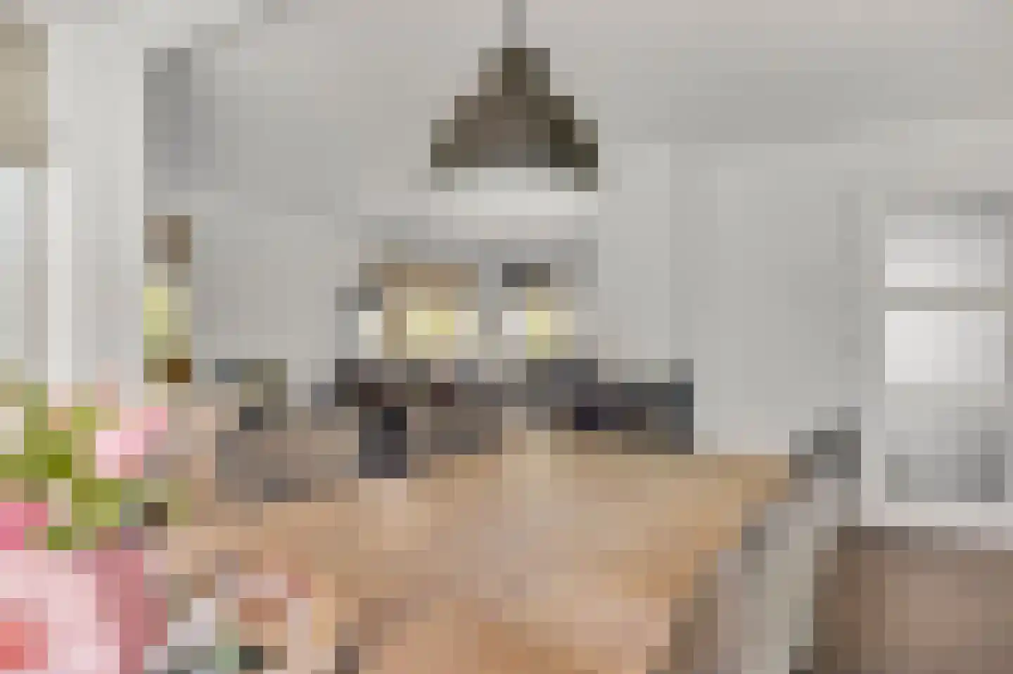 Geer 1 Nederweert thumbnail 5