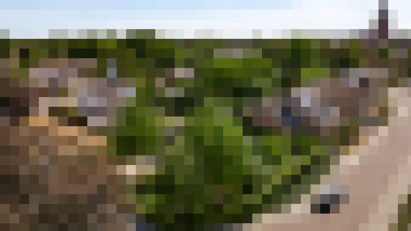 Geer 1 Nederweert thumbnail 56