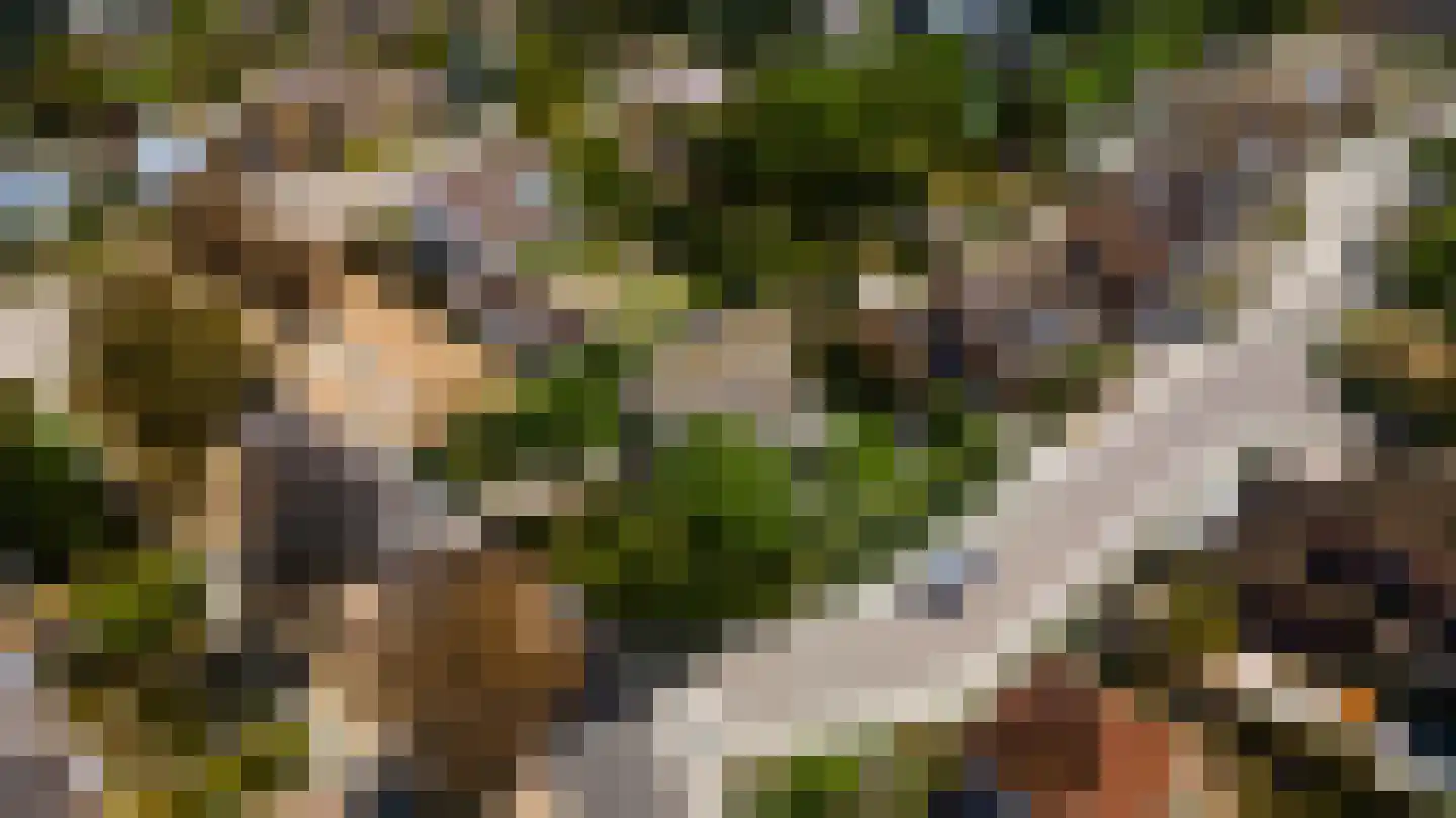 Geer 1 Nederweert thumbnail 57