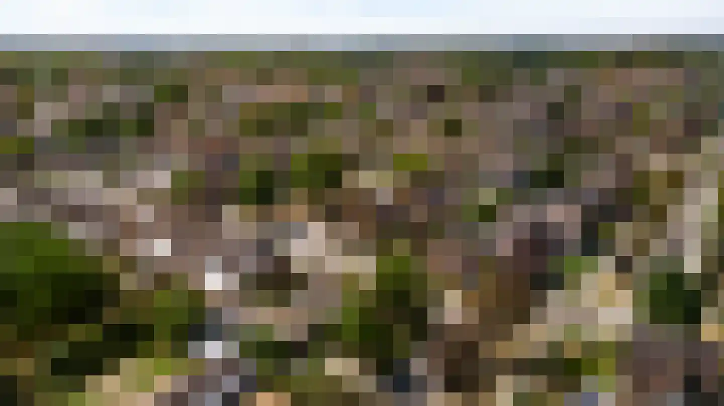 Geer 1 Nederweert thumbnail 58