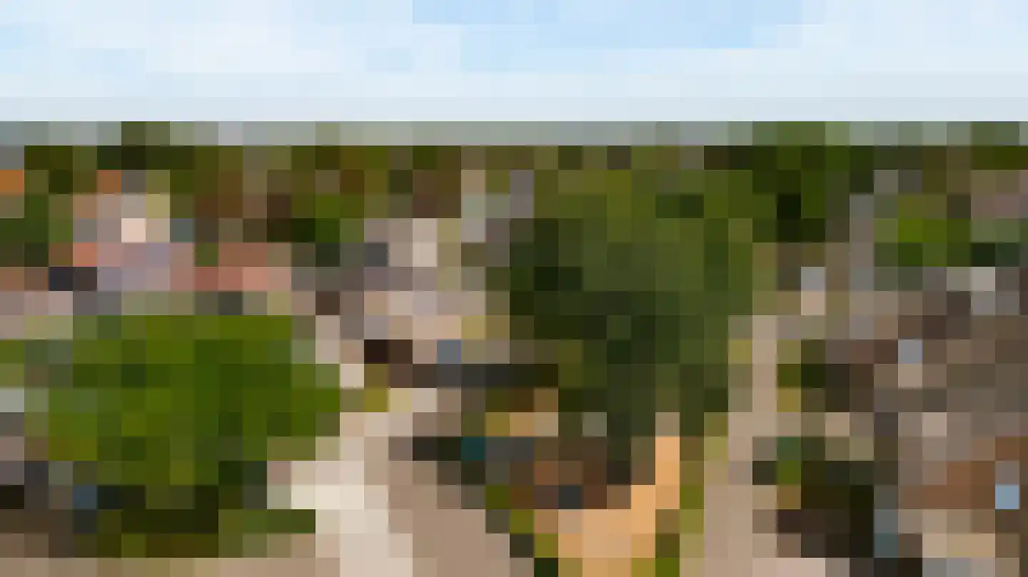 Geer 1 Nederweert thumbnail 59