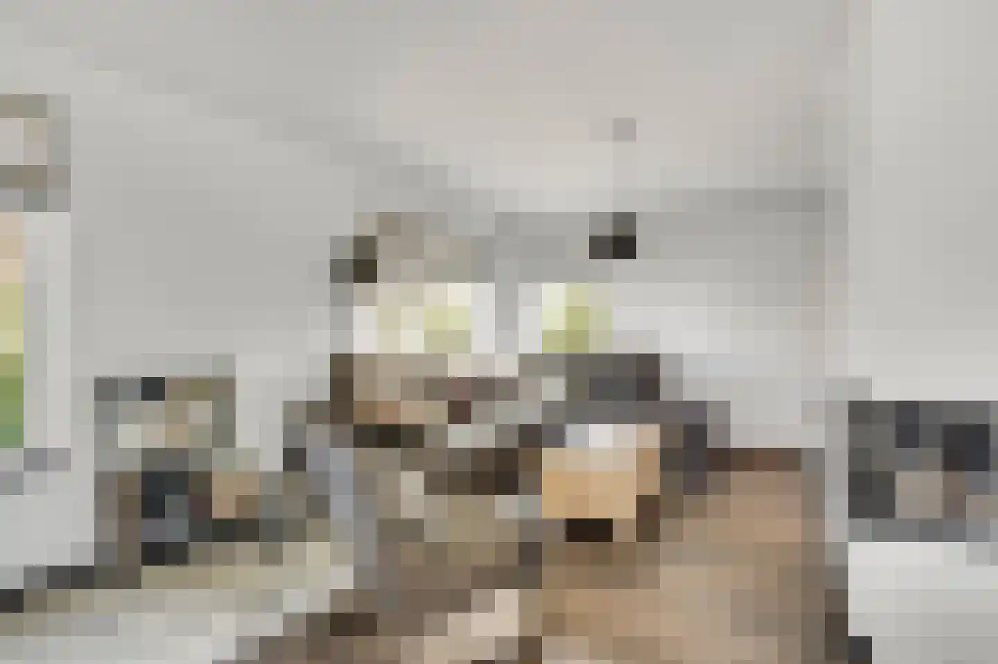 Geer 1 Nederweert thumbnail 6
