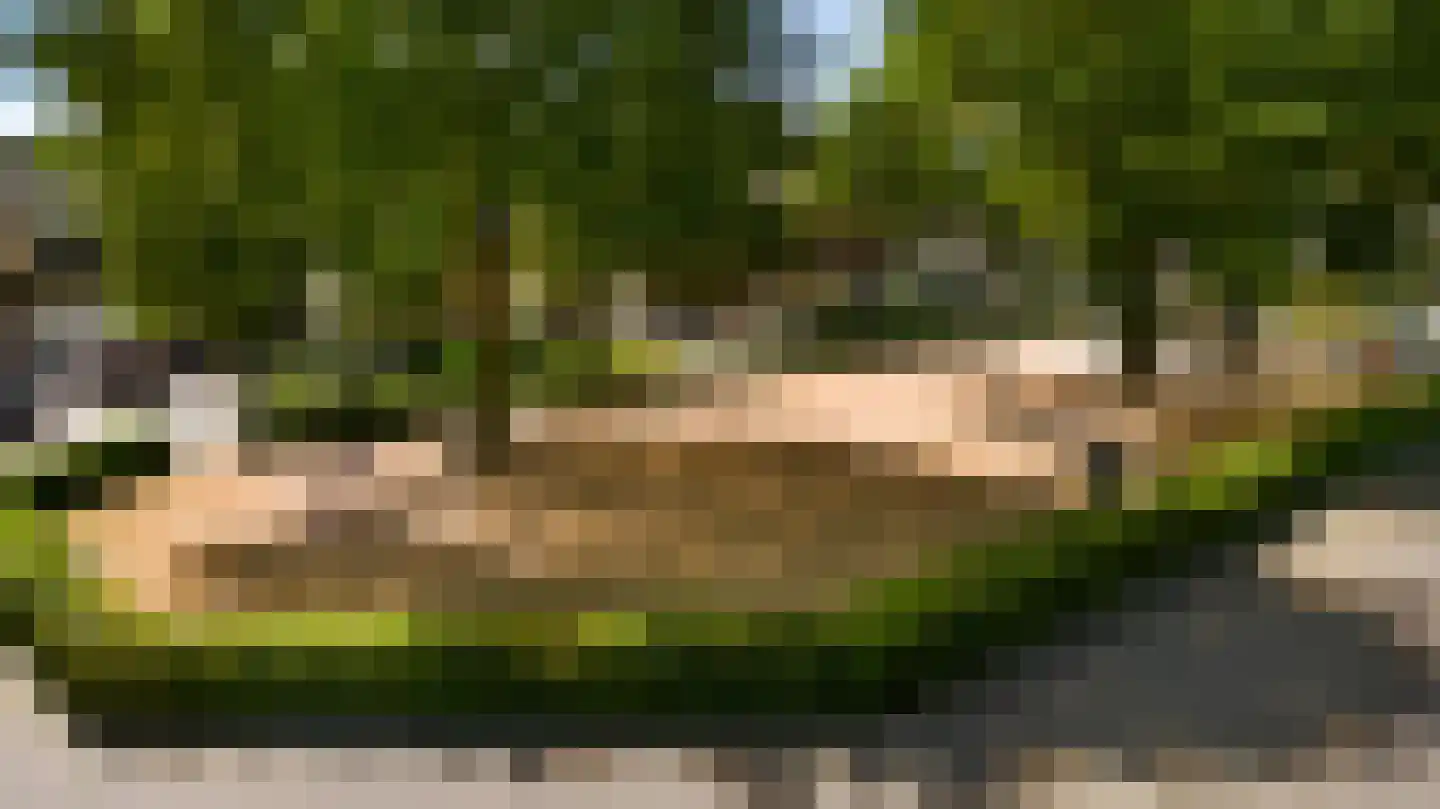Geer 1 Nederweert thumbnail 60