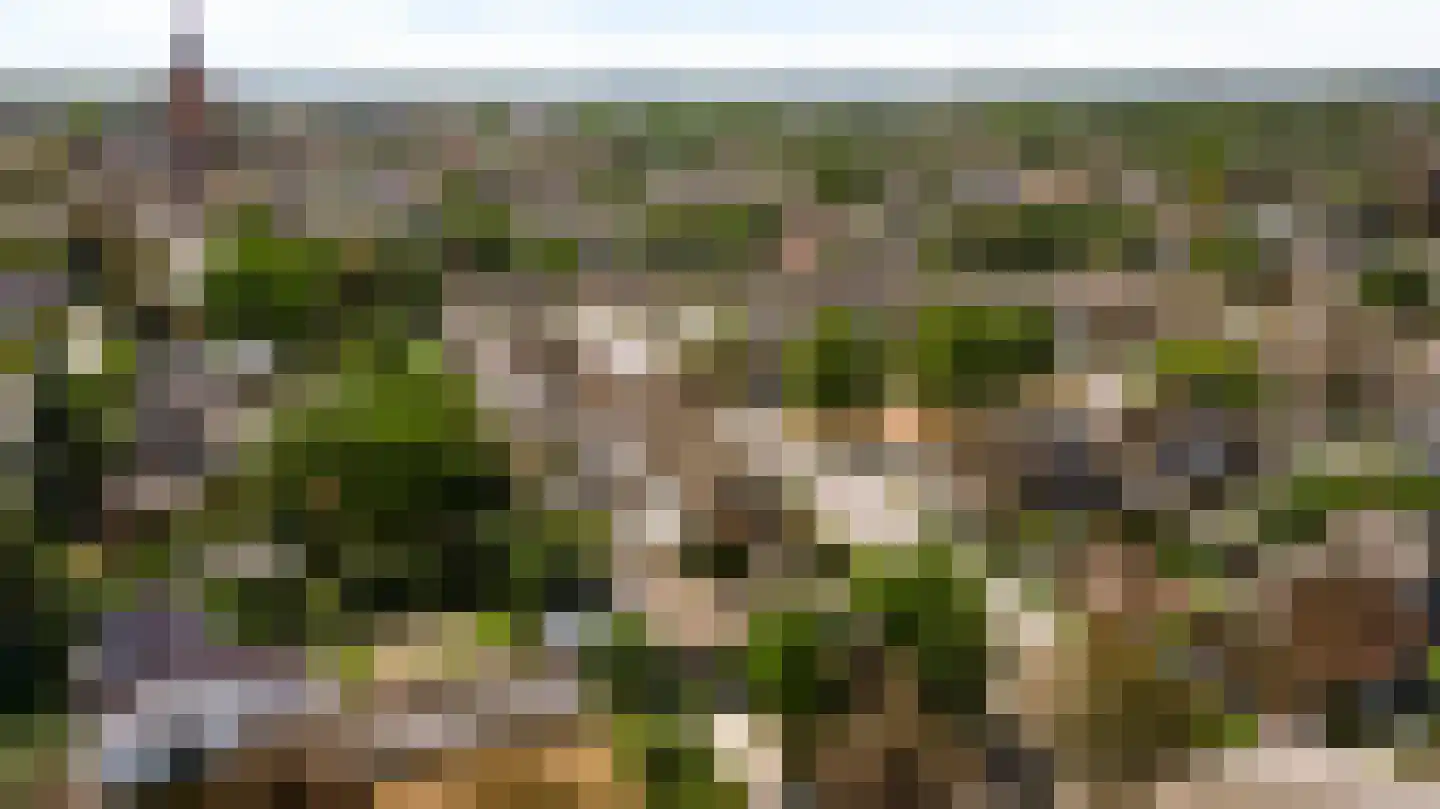 Geer 1 Nederweert thumbnail 61