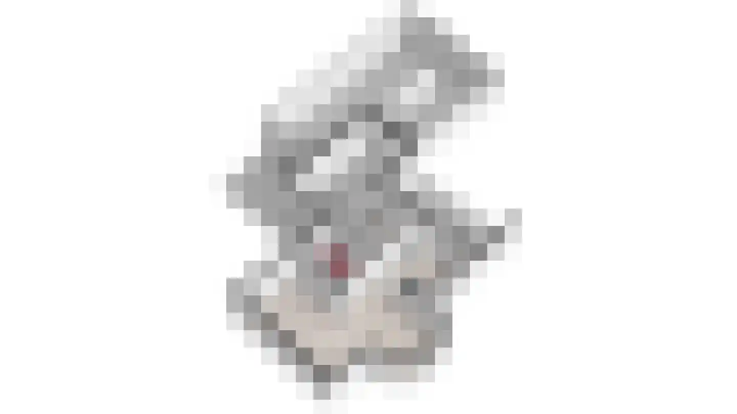 Geer 1 Nederweert thumbnail 68