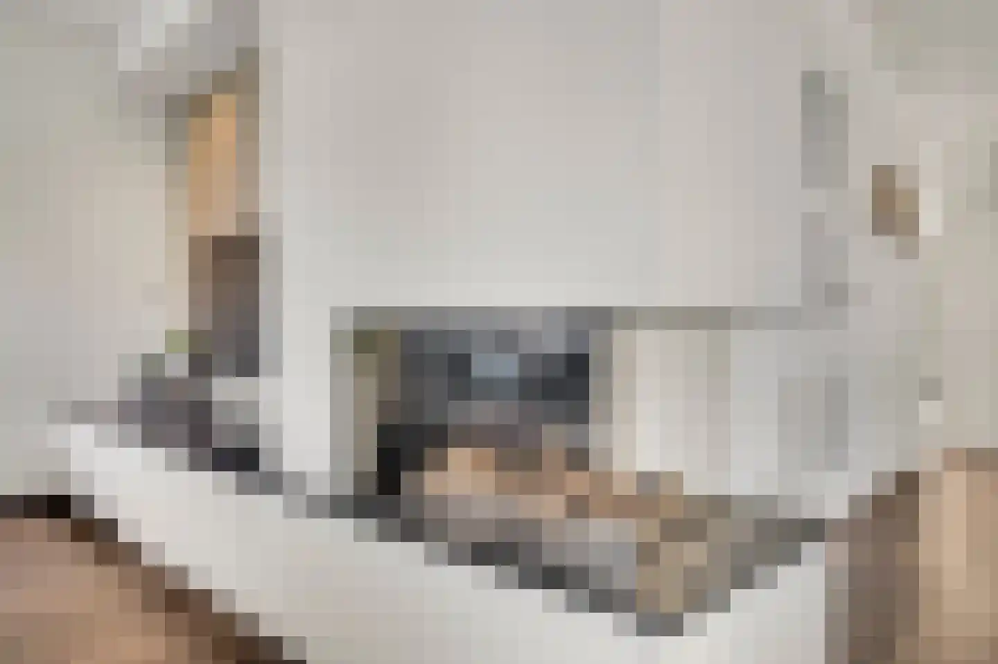 Geer 1 Nederweert thumbnail 7