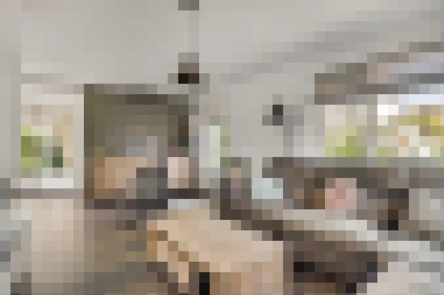 Geer 1 Nederweert thumbnail 8