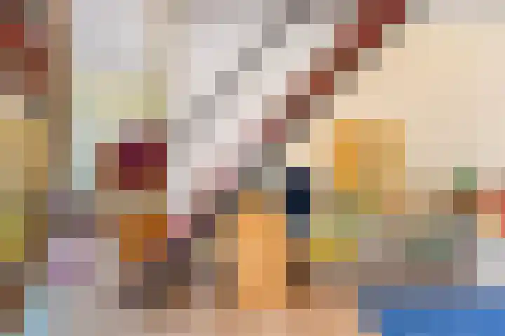 Geer 3 Eindhoven thumbnail 23