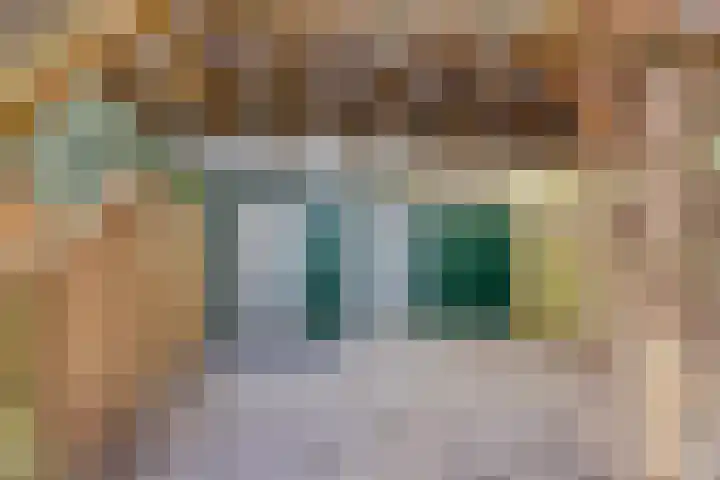 Geer 3 Eindhoven thumbnail 53