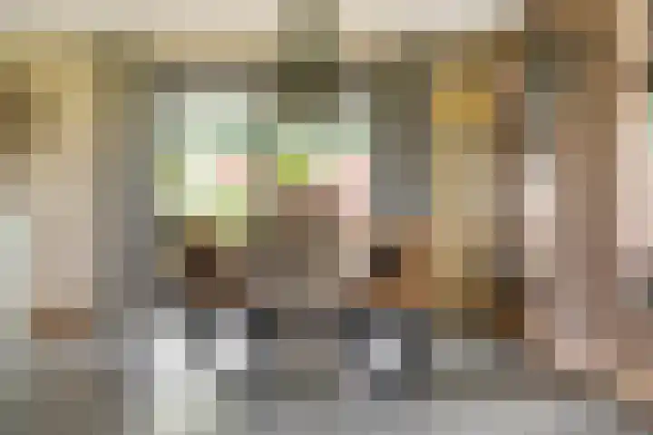 Geer 33 Nieuwland thumbnail 16