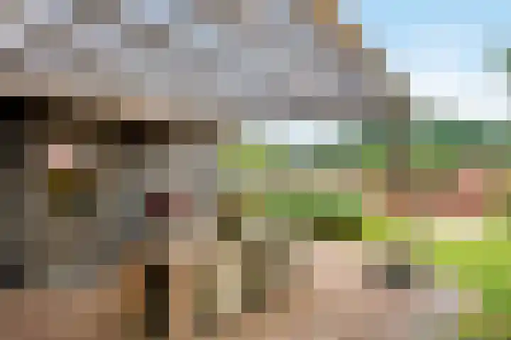 Geer 33 Nieuwland thumbnail 30