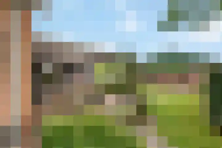 Geer 33 Nieuwland thumbnail 31