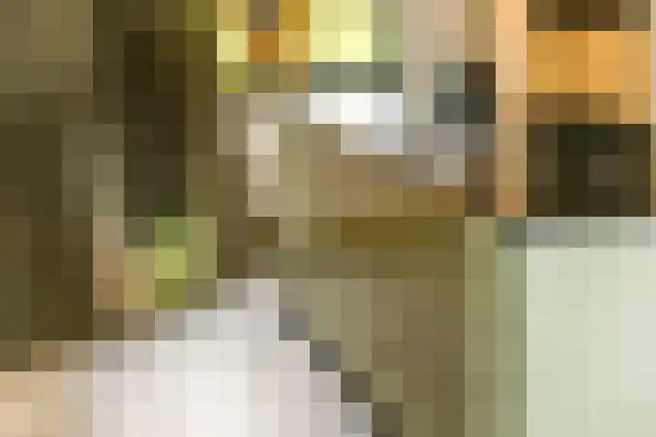 Geer 33 Nieuwland thumbnail 4