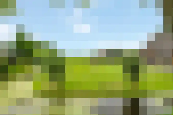 Geer 33 Nieuwland thumbnail 5