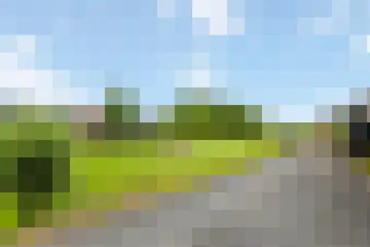 Geer 33 Nieuwland thumbnail 56