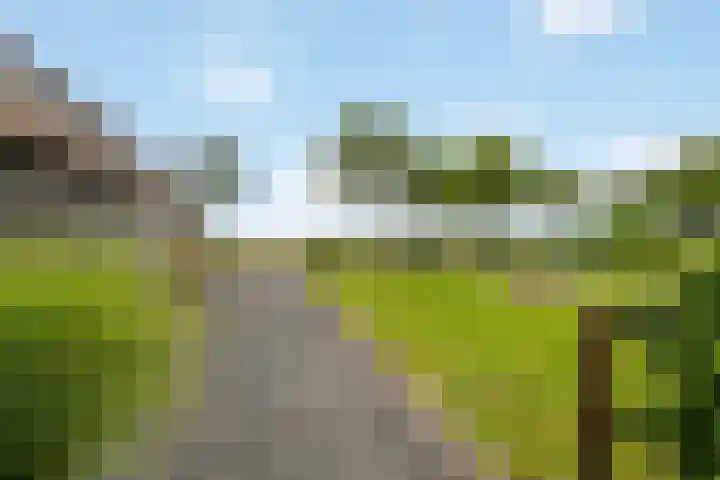 Geer 33 Nieuwland thumbnail 57