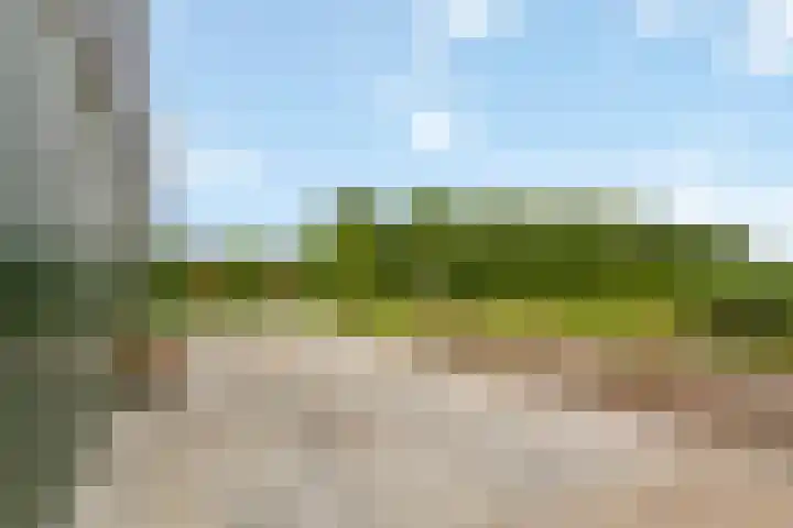 Geer 33 Nieuwland thumbnail 67
