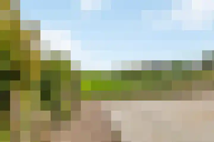 Geer 33 Nieuwland thumbnail 68