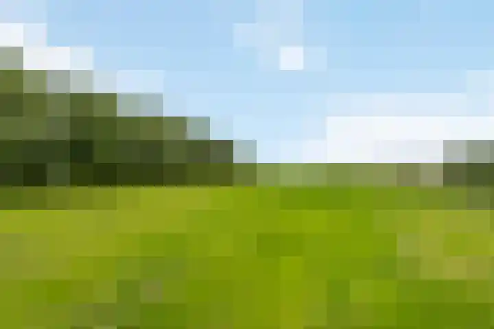 Geer 33 Nieuwland thumbnail 69